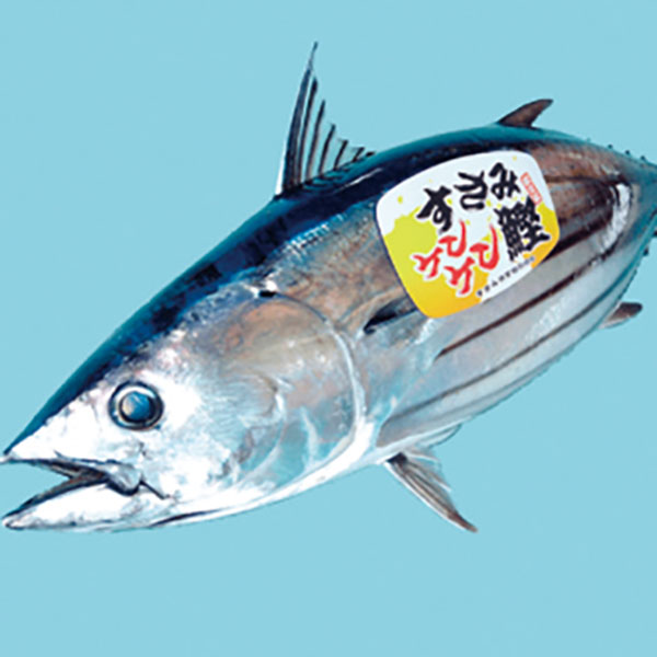 写真：事業者紹介 和歌山南漁業協同組合