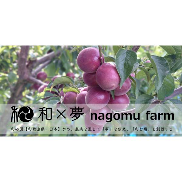 写真：事業者紹介 和×夢 nagomu farm ®
