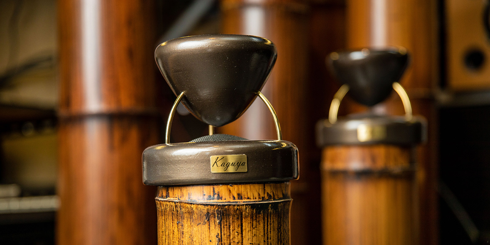 プレミア和歌山 竹スピーカー Kaguya